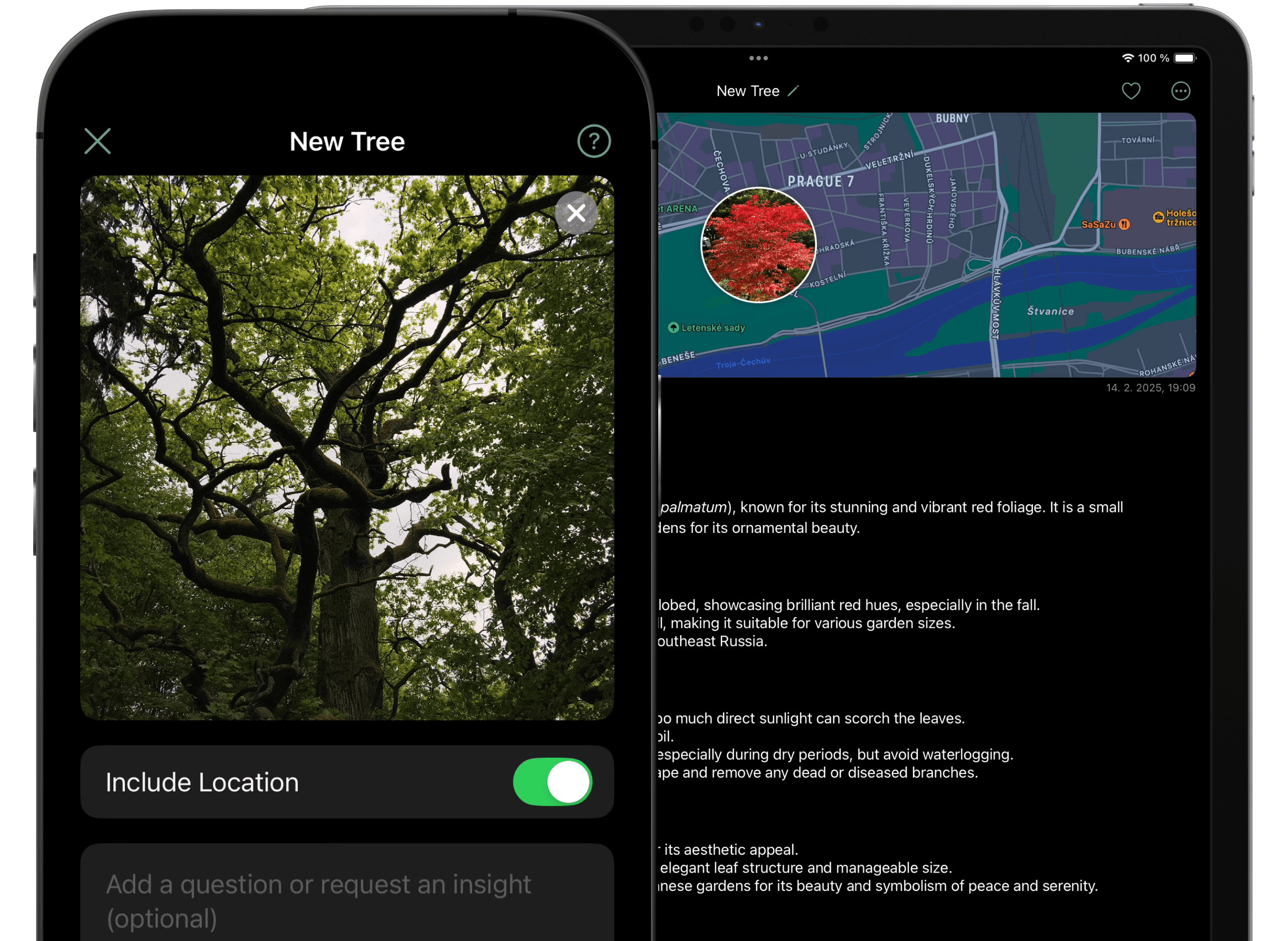 Treekit – Tree & Plant Identifier Preview