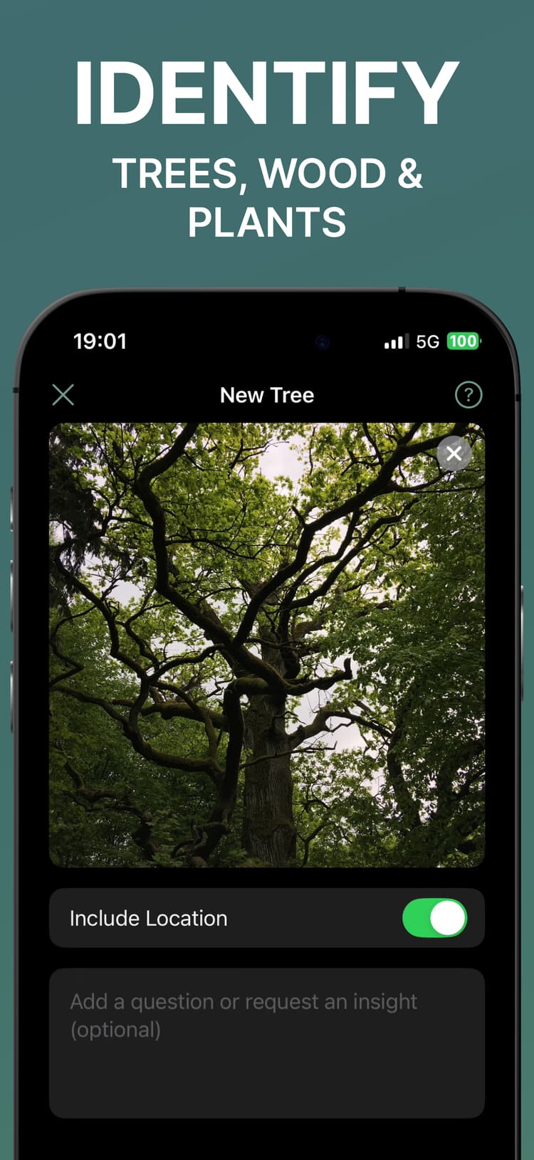Treekit – Tree & Plant Identifier screenshot 1